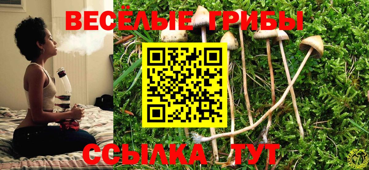 Псилоцибиновые грибы GOLDEN TEACHER  Галлюциногенные грибы прущие грибы  Вход с VPN  Чехов 
